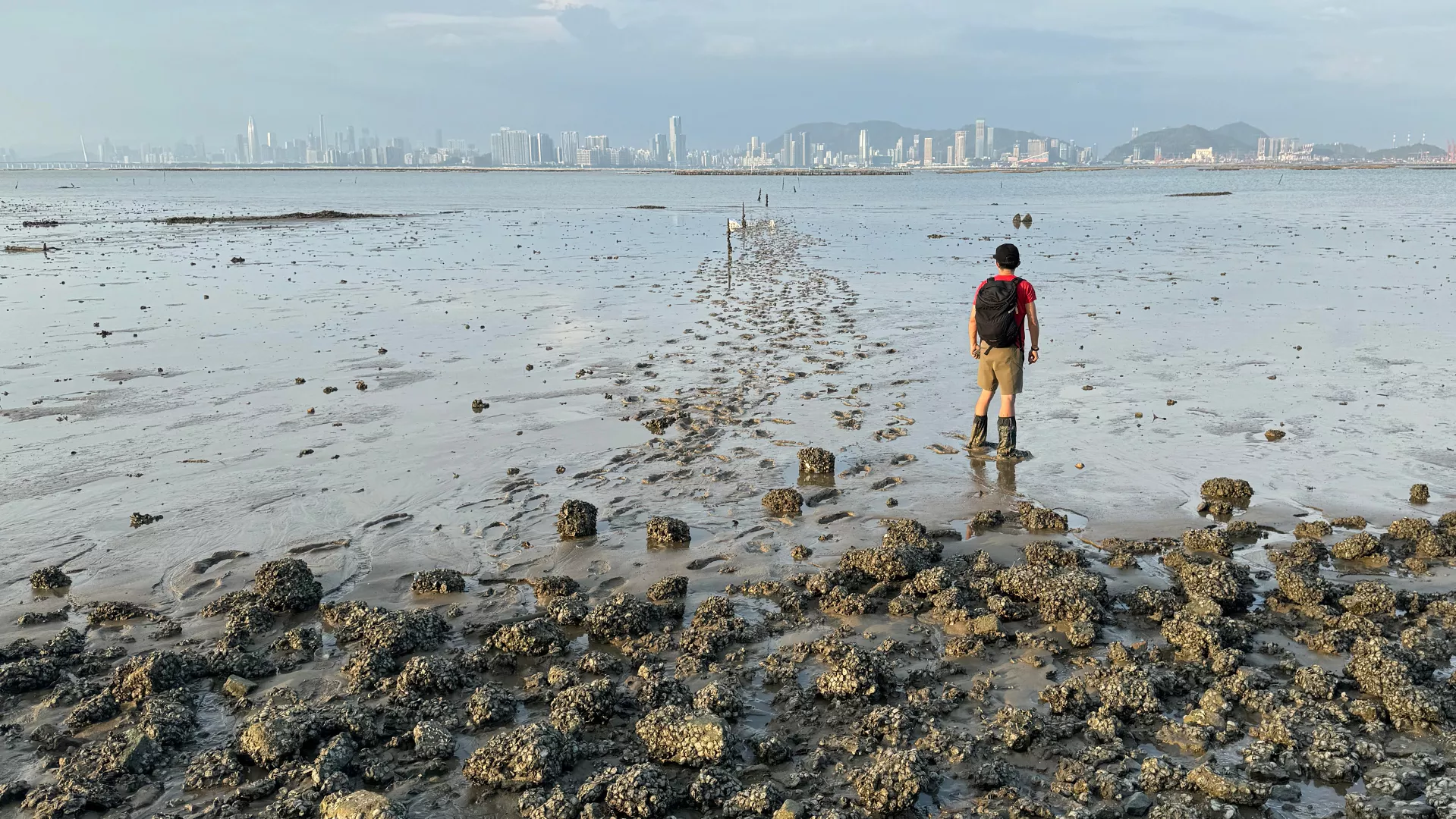 Restoring Marine Ecosystems with Smart Oyster Reefs