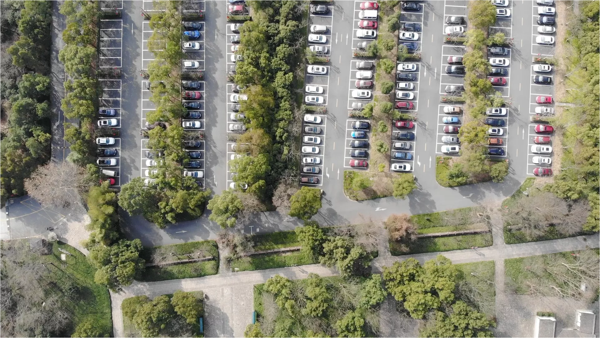 Green Parking with Edge AI Camera for Carpoolers and Electric Vehicle Drivers