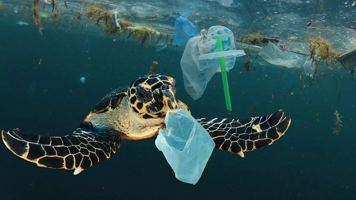 Sustainable Smart Marine Grid (SSMG) - Solar-powered base stations for continuous underwater surveying and trash cleaning