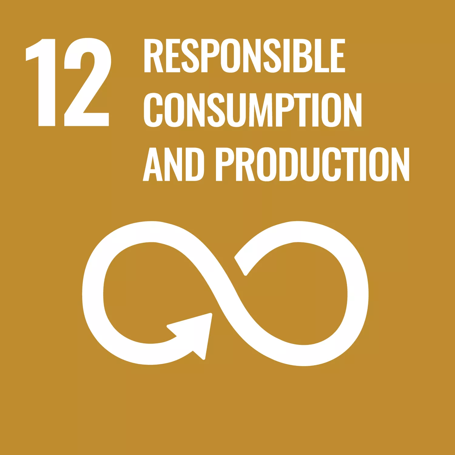 SDG Goal 12 - Responsible Consumption and Production